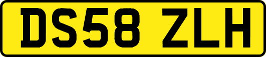 DS58ZLH