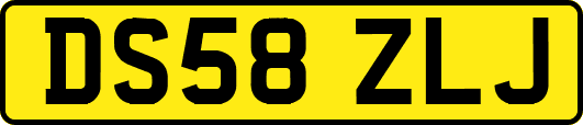DS58ZLJ