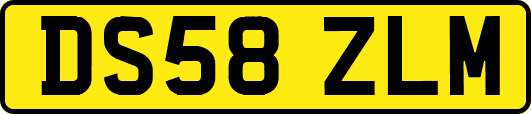 DS58ZLM