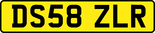 DS58ZLR