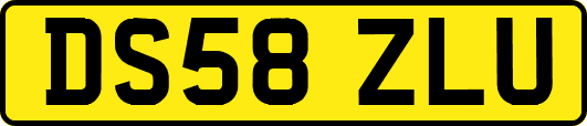 DS58ZLU