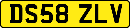 DS58ZLV