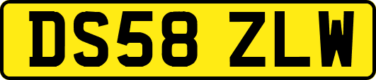 DS58ZLW