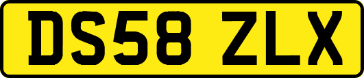 DS58ZLX