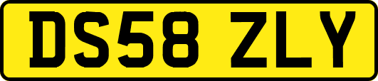 DS58ZLY