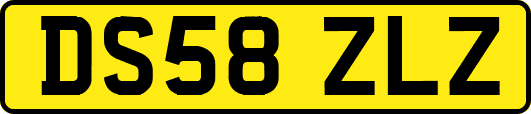 DS58ZLZ