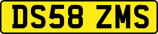 DS58ZMS