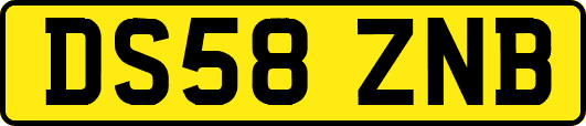 DS58ZNB