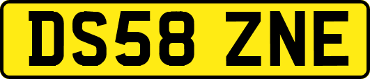 DS58ZNE