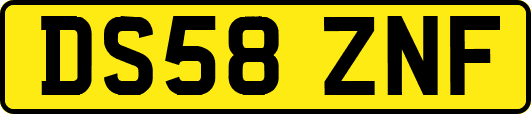 DS58ZNF