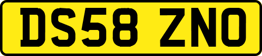 DS58ZNO