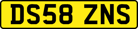 DS58ZNS