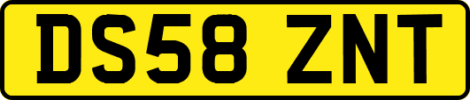 DS58ZNT