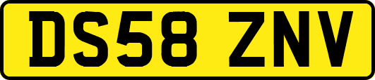 DS58ZNV
