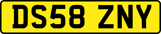 DS58ZNY
