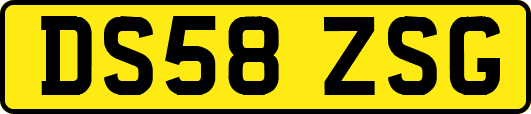 DS58ZSG