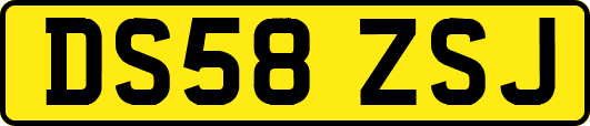 DS58ZSJ