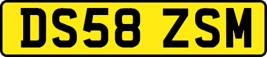 DS58ZSM