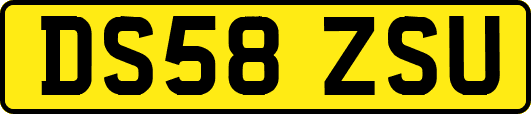DS58ZSU