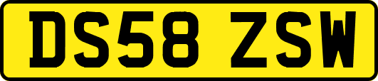 DS58ZSW