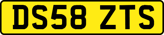 DS58ZTS