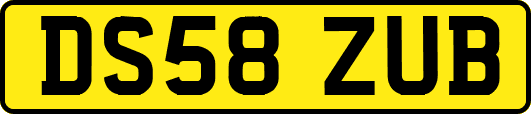 DS58ZUB