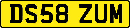 DS58ZUM