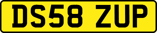 DS58ZUP