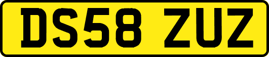 DS58ZUZ