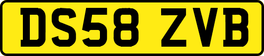 DS58ZVB