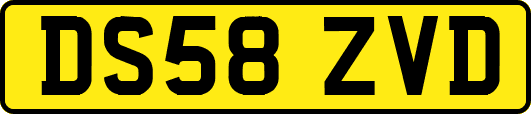 DS58ZVD