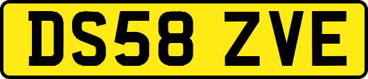 DS58ZVE