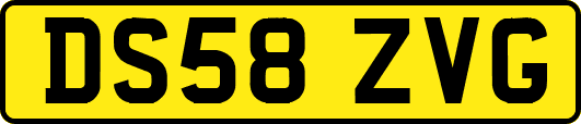 DS58ZVG