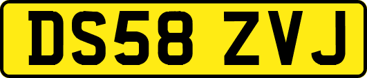 DS58ZVJ