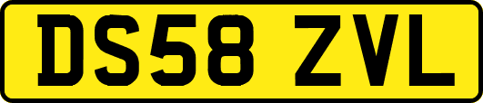 DS58ZVL