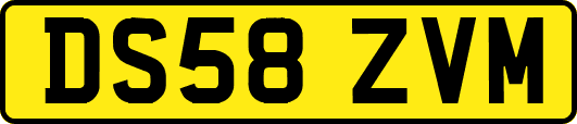 DS58ZVM