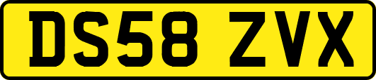 DS58ZVX