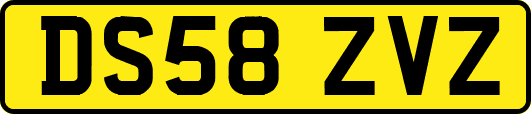 DS58ZVZ