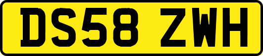 DS58ZWH