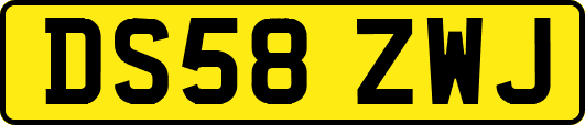 DS58ZWJ