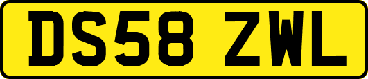 DS58ZWL