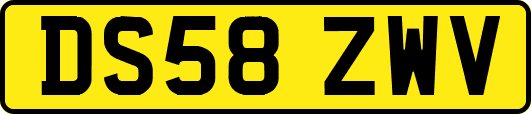 DS58ZWV