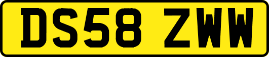 DS58ZWW