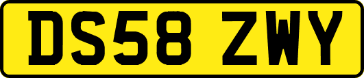 DS58ZWY