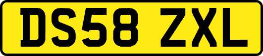DS58ZXL