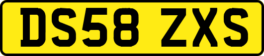 DS58ZXS