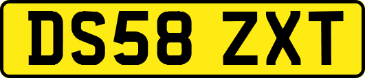 DS58ZXT