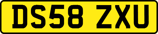 DS58ZXU