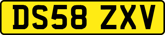 DS58ZXV