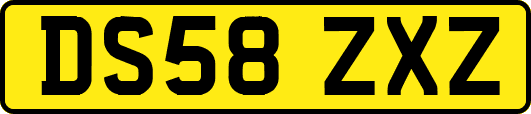 DS58ZXZ